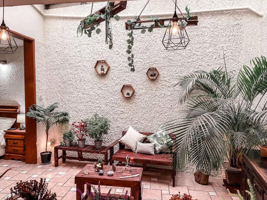 Apartment Hermoso Loft Cerca De Chapultepec