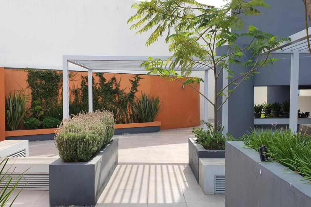 Apartamento Nuevo Depa Con Alberca Y Gym Guadalajara