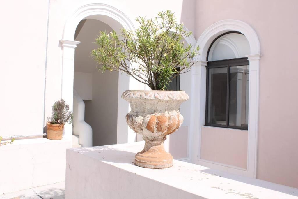Casa Alhaja - Aguamarina Apartamento