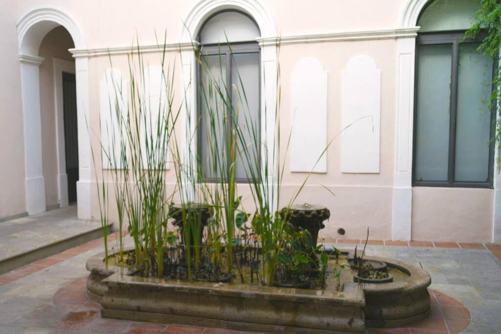 Casa Alhaja - Aguamarina * Guadalajara