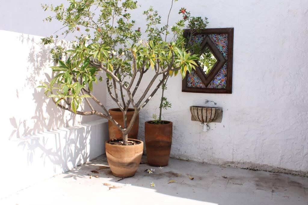 Casa Alhaja - Aguamarina Apartamento Guadalajara