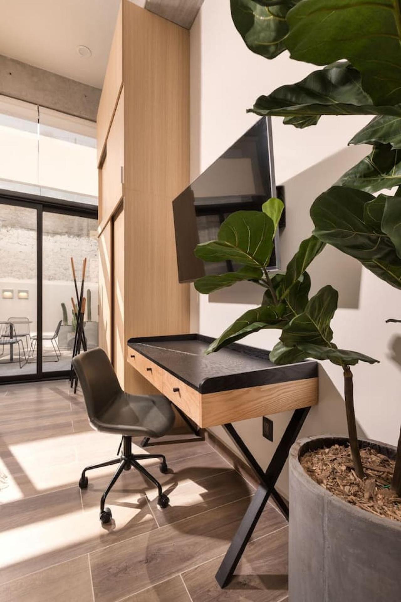 Loft Elegante C Patio Cowork Y Terraza 1 Bd P Panamericano By Tribu Guadalajara