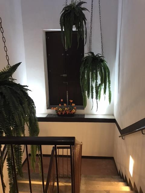 Casa Jesus Maria Homestay Guadalajara